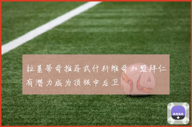 拉基蒂奇推荐武什科维奇加盟拜仁有潜力成为顶级中后卫