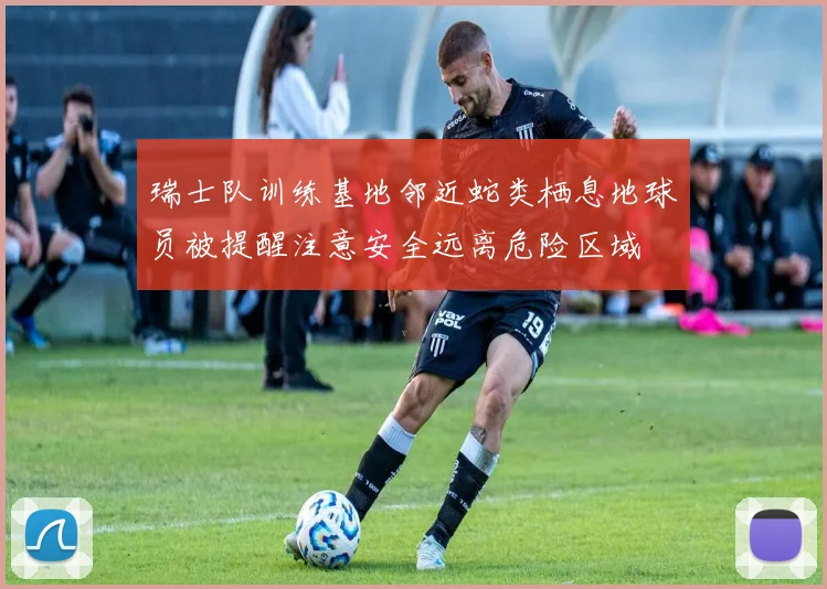 瑞士队训练基地邻近蛇类栖息地球员被提醒注意安全远离危险区域